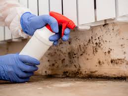 Best Mold Removal for HVAC Installations  in Malone, FL